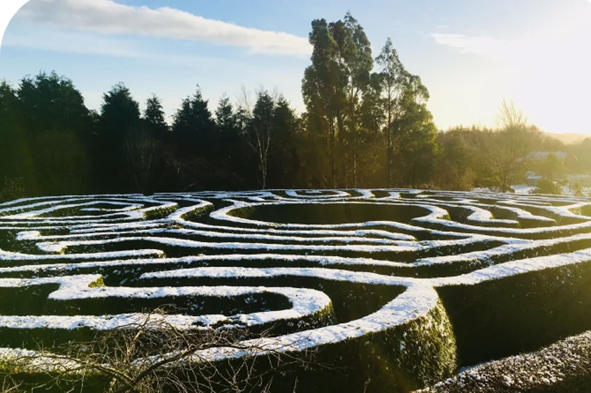 Snowy Maze