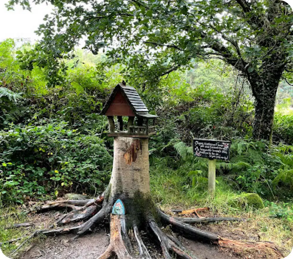 Fairy tree image