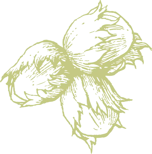 Plants Icon