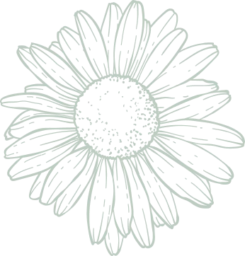Sunflower Vector