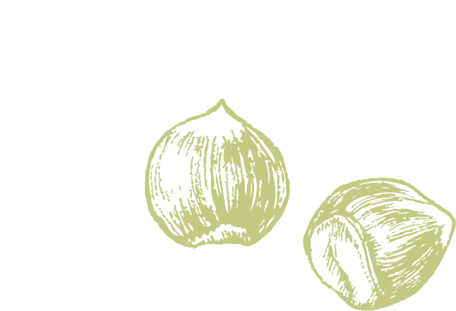 svg1