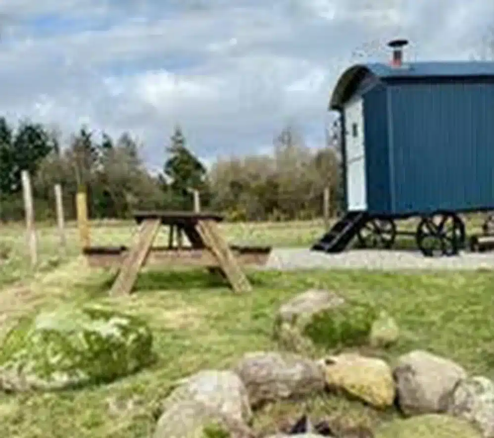 Shepherds Hut & picnic bench