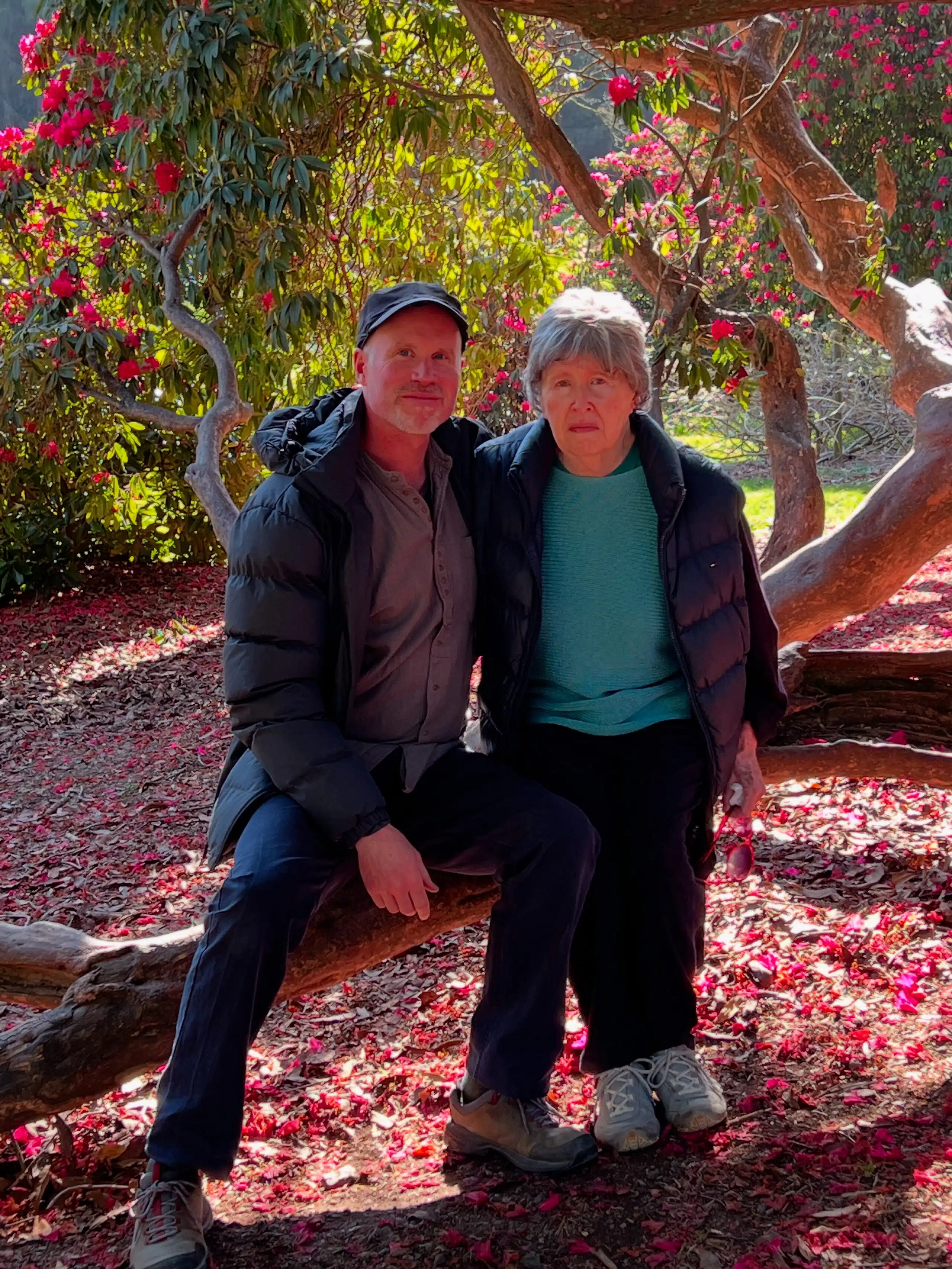 phoebe wheeler and will wheeler