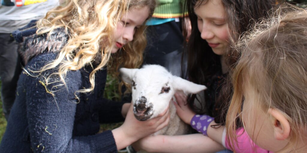 kids with lamb