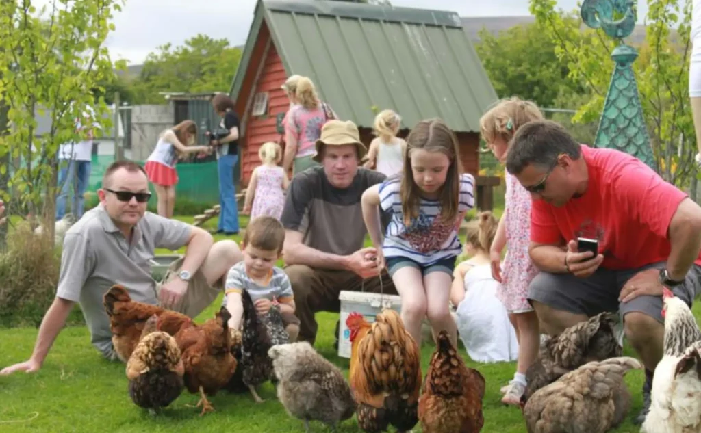 animal feed image 4