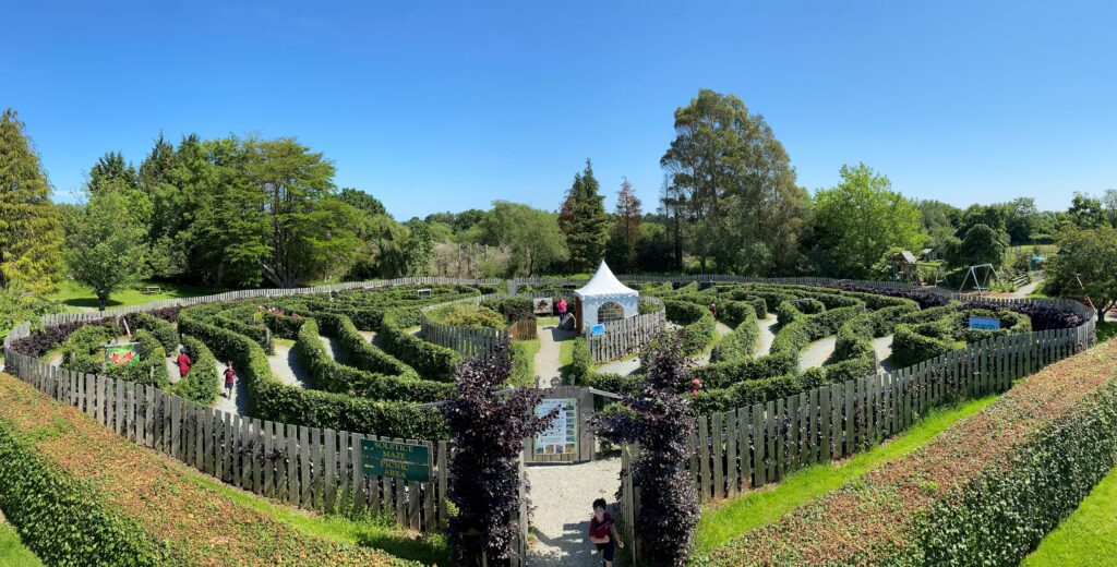 greenan maze with kids running around 4